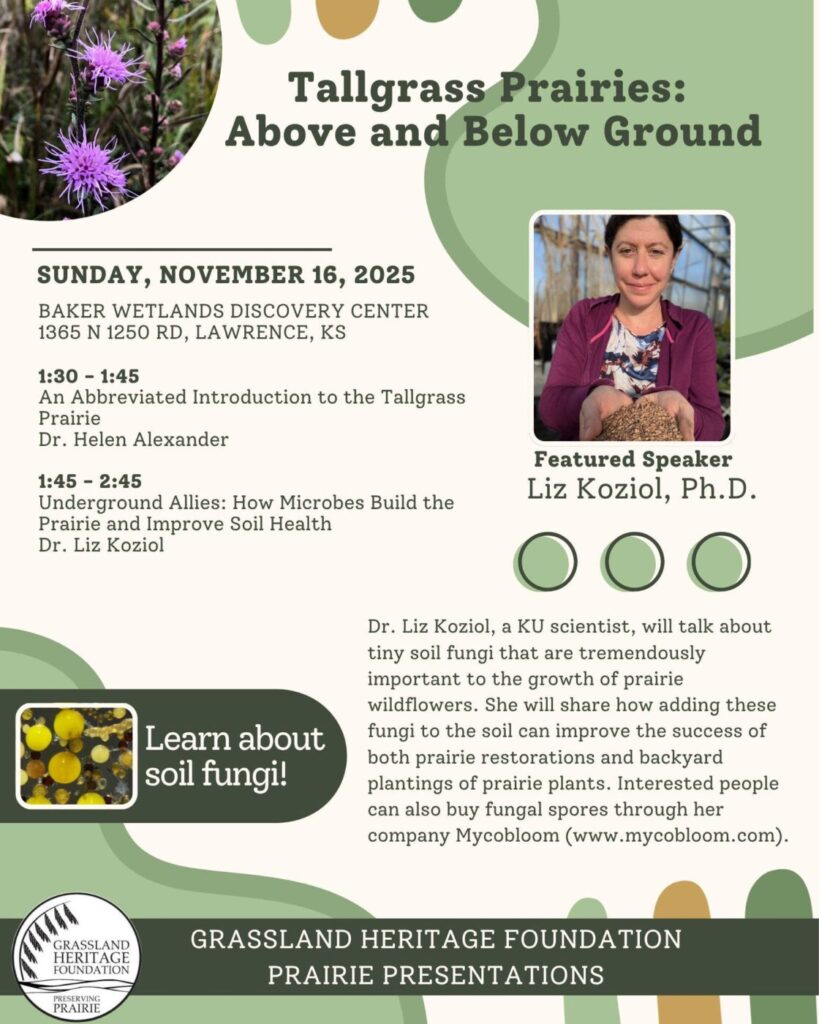 GHF-Tallgrass Prairie