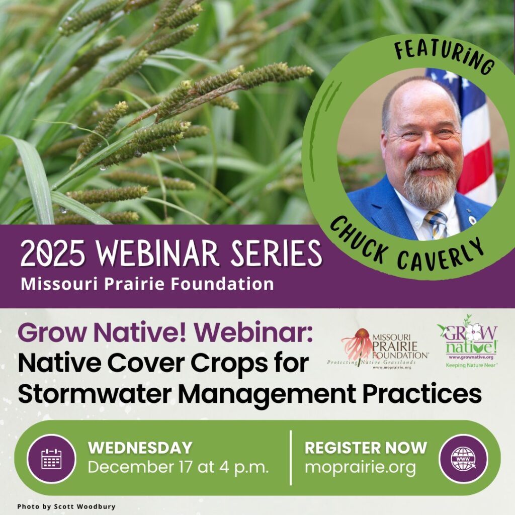 Grow Native Webinar- Dec 17