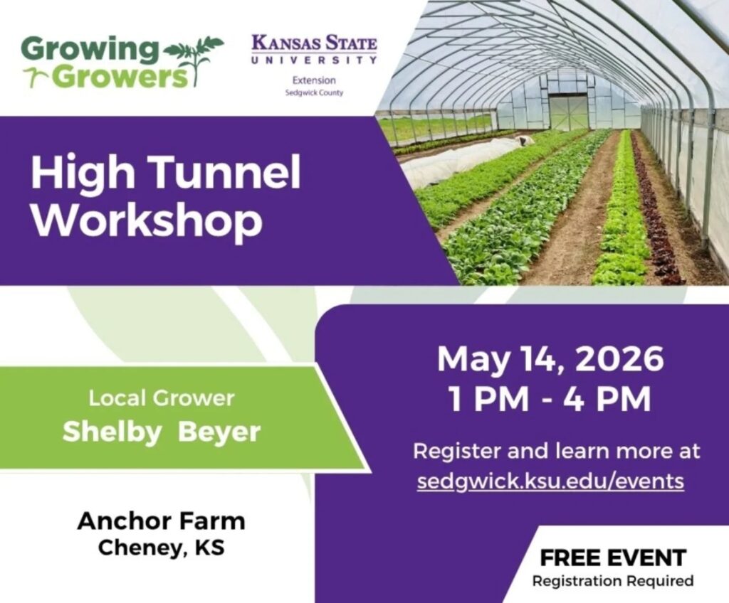 High Tunnel Workshop