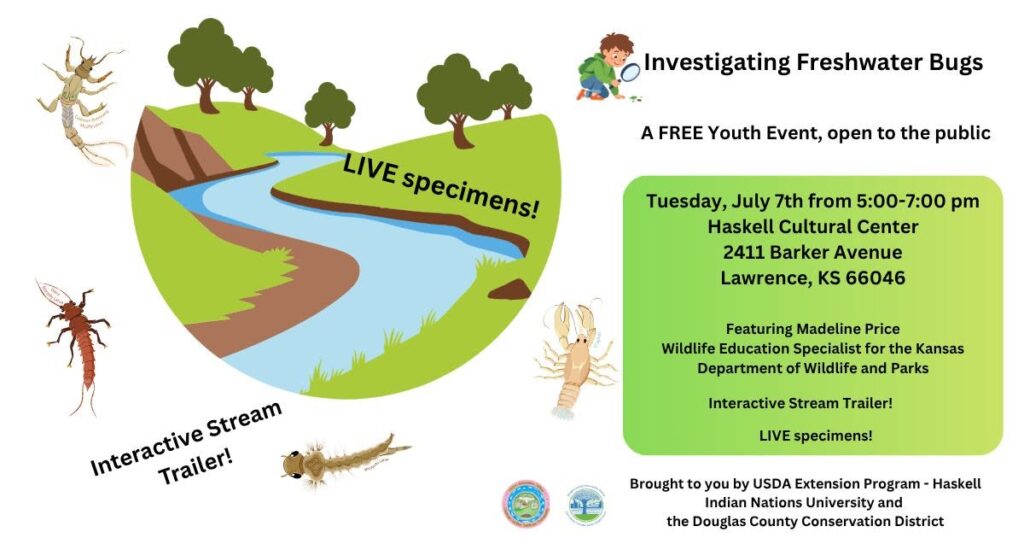 Investigating Freshwater Bugs