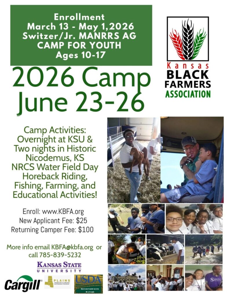 KBFA Youth Camp