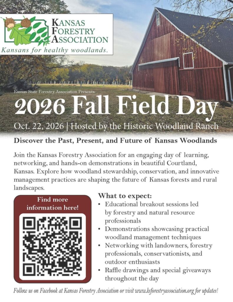 KFA Fall Field Day