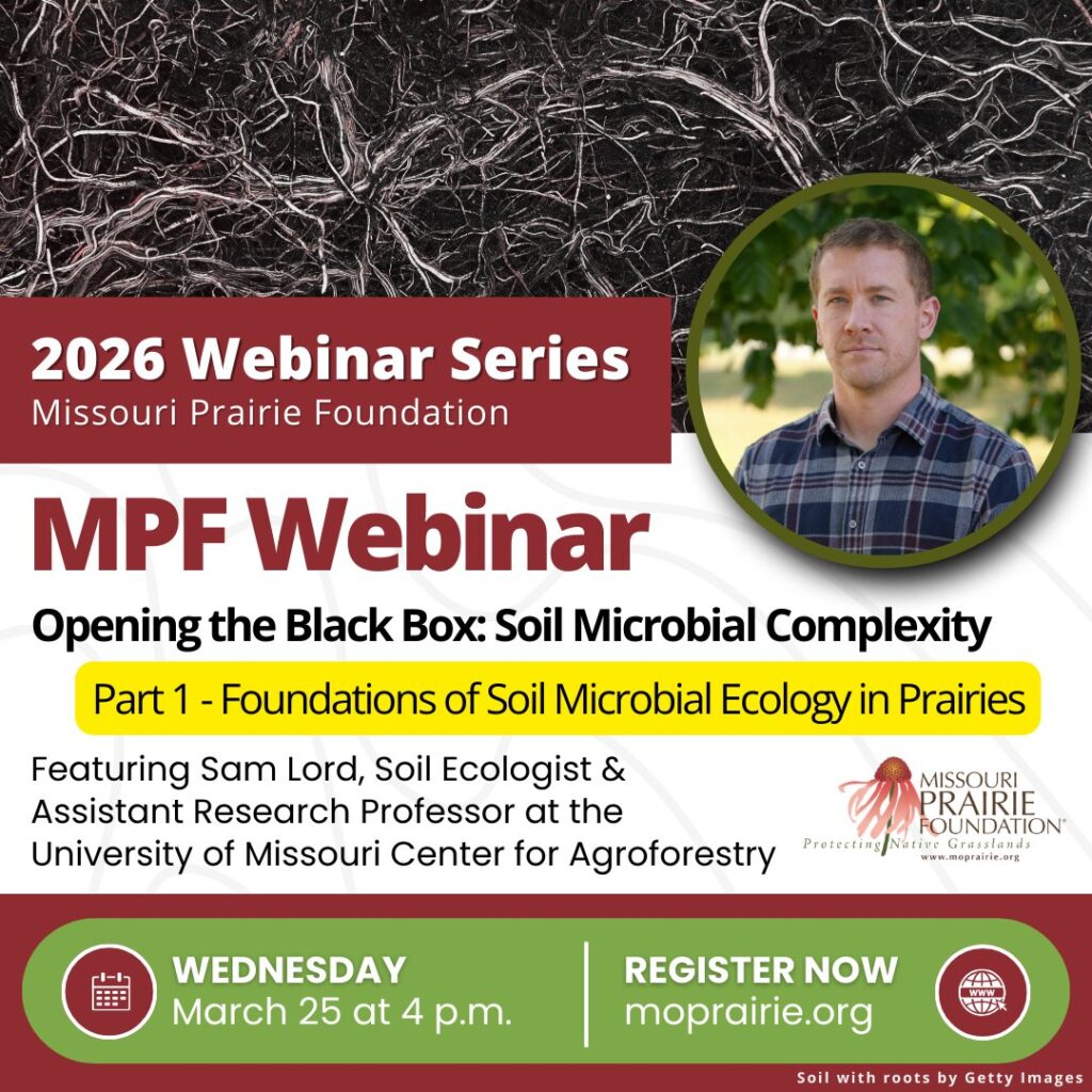 MPF Webinar 3-25-26