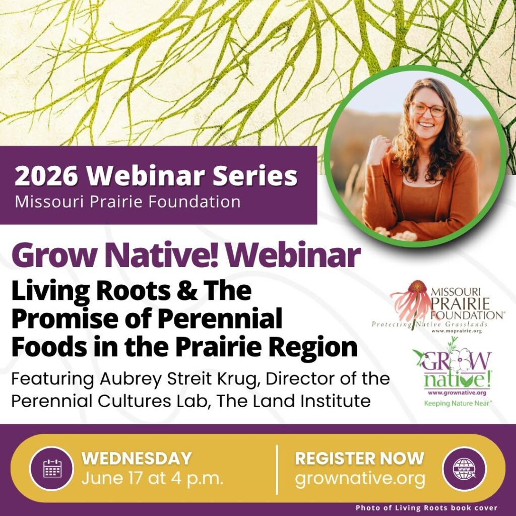 MPF Webinar 6-17-26