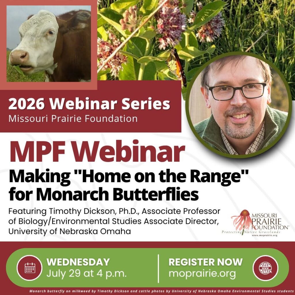 MPF Webinar 7-29-26