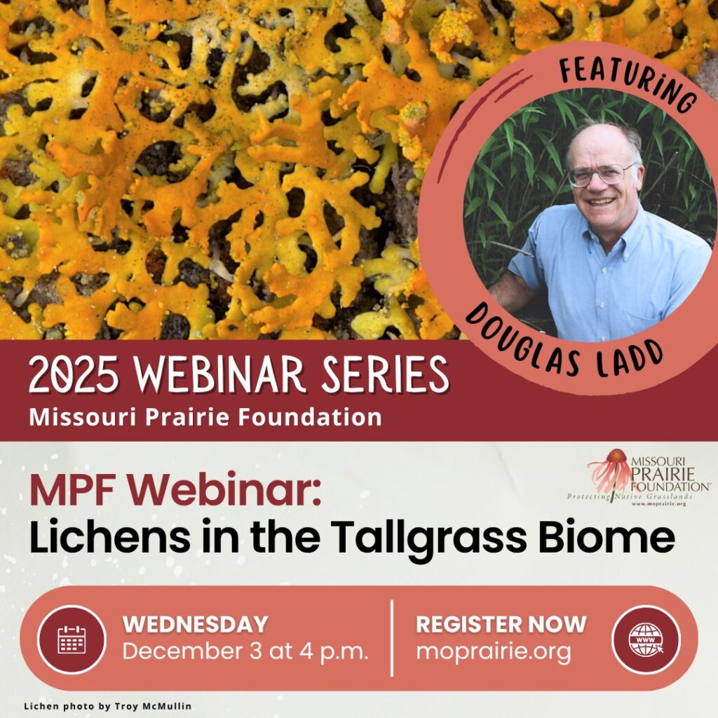 MPF Webinar- Lichens