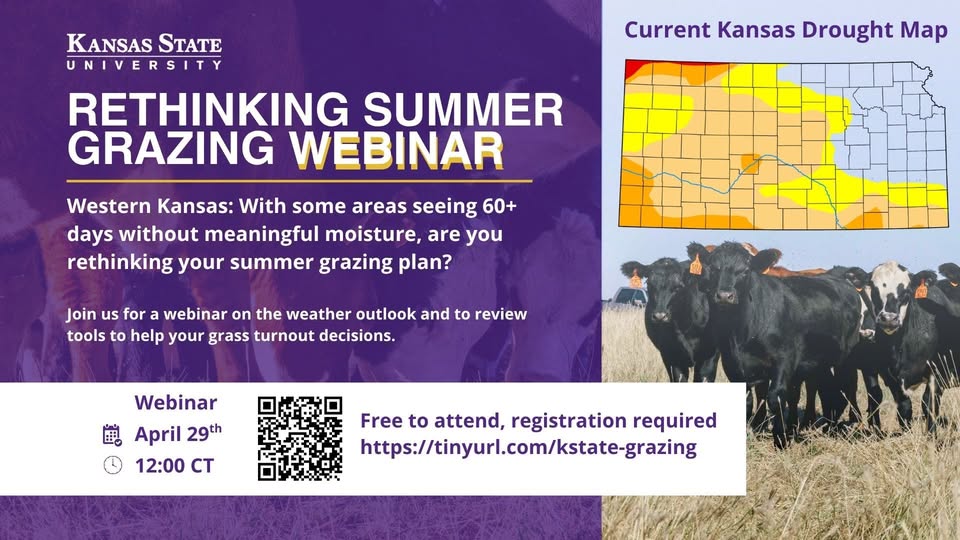 Rethinking Summer Grazing Webinar